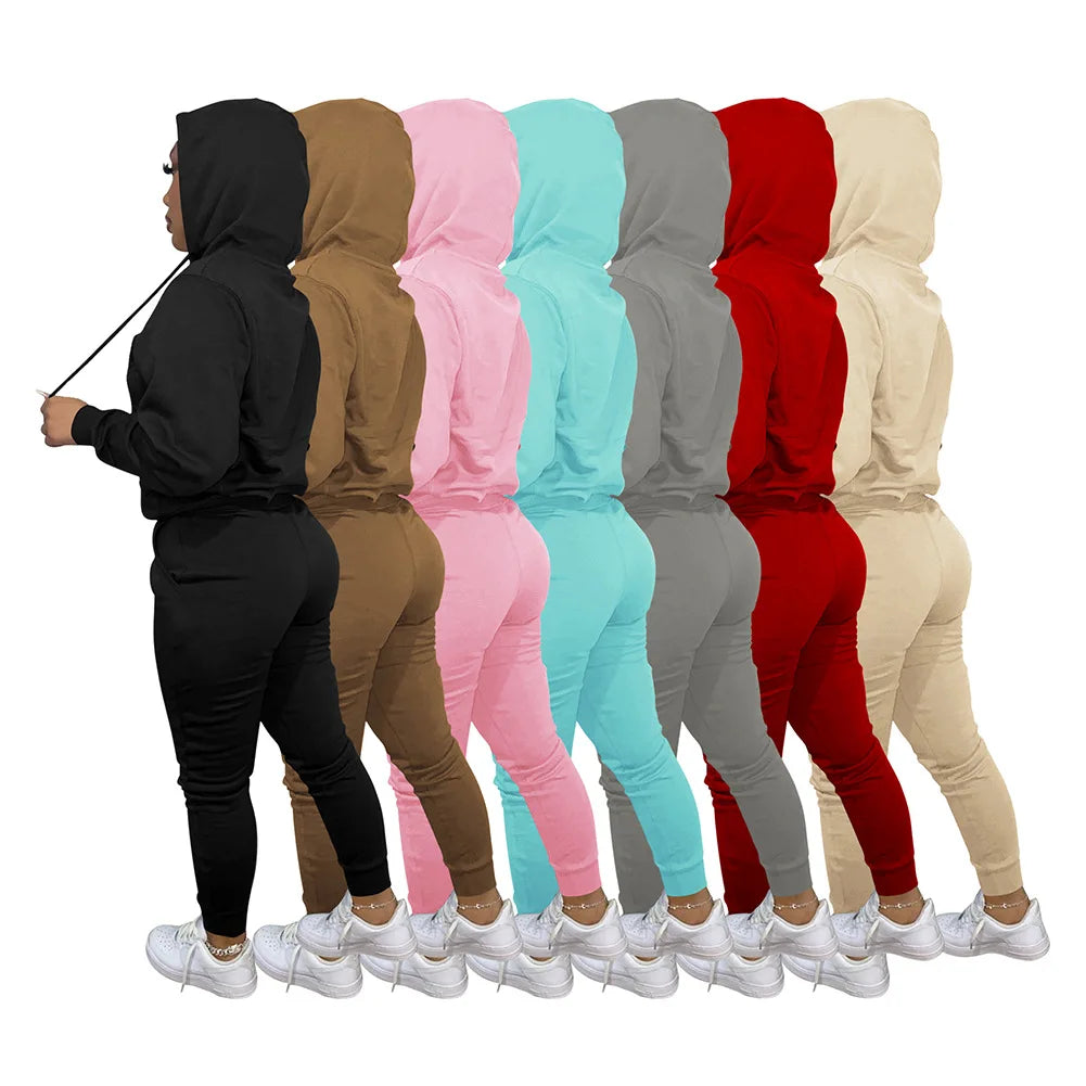 D88140 Custom Tracksuits for Women Embroidered Plush Winter Sweater Hooded Two Piece Set Women Clothing Ladies Jogging Suits