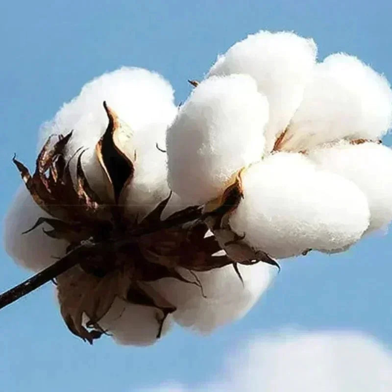 women's autumn winter suit clothing Hoodies Sweatshirt Trackpants 2piece set Cotton Fashion love Print Oversized Hoody and pants